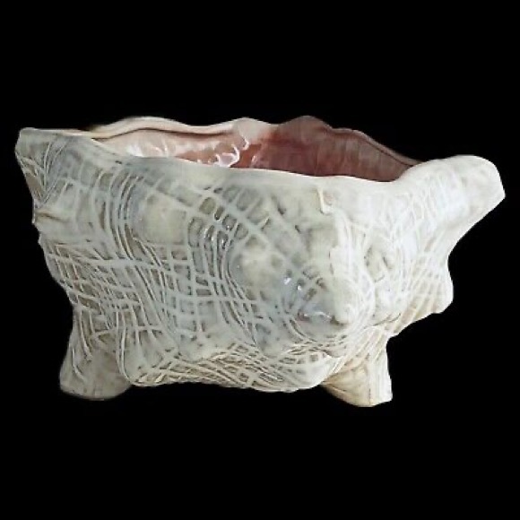 Pottery Barn Enchantment Under the Sea Pearlescent Glazed Conch Shell Bowl 🐚 - Picture 14 of 17